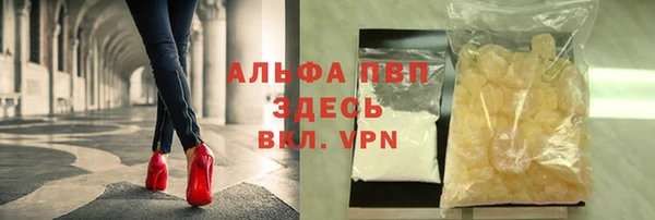 эйфоретик Белокуриха