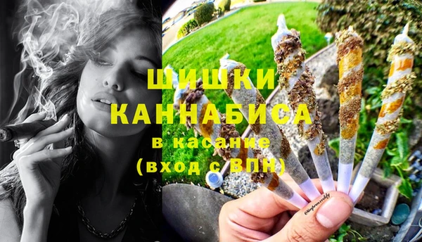 эйфоретик Белокуриха