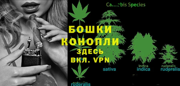 эйфоретик Белокуриха