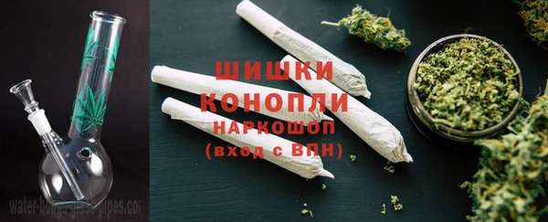 эйфоретик Белокуриха