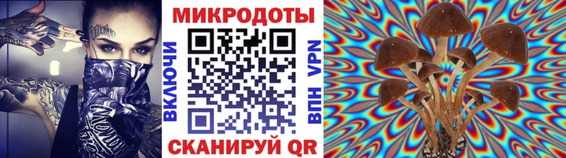 блэк спрут ТОР  Сковородино  Псилоцибиновые грибы Psilocybe 
